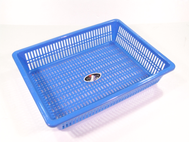 ��Ʈ�� ������4ȣ