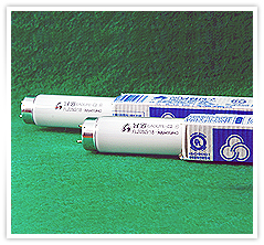 ���� �Ϲ������� 40D