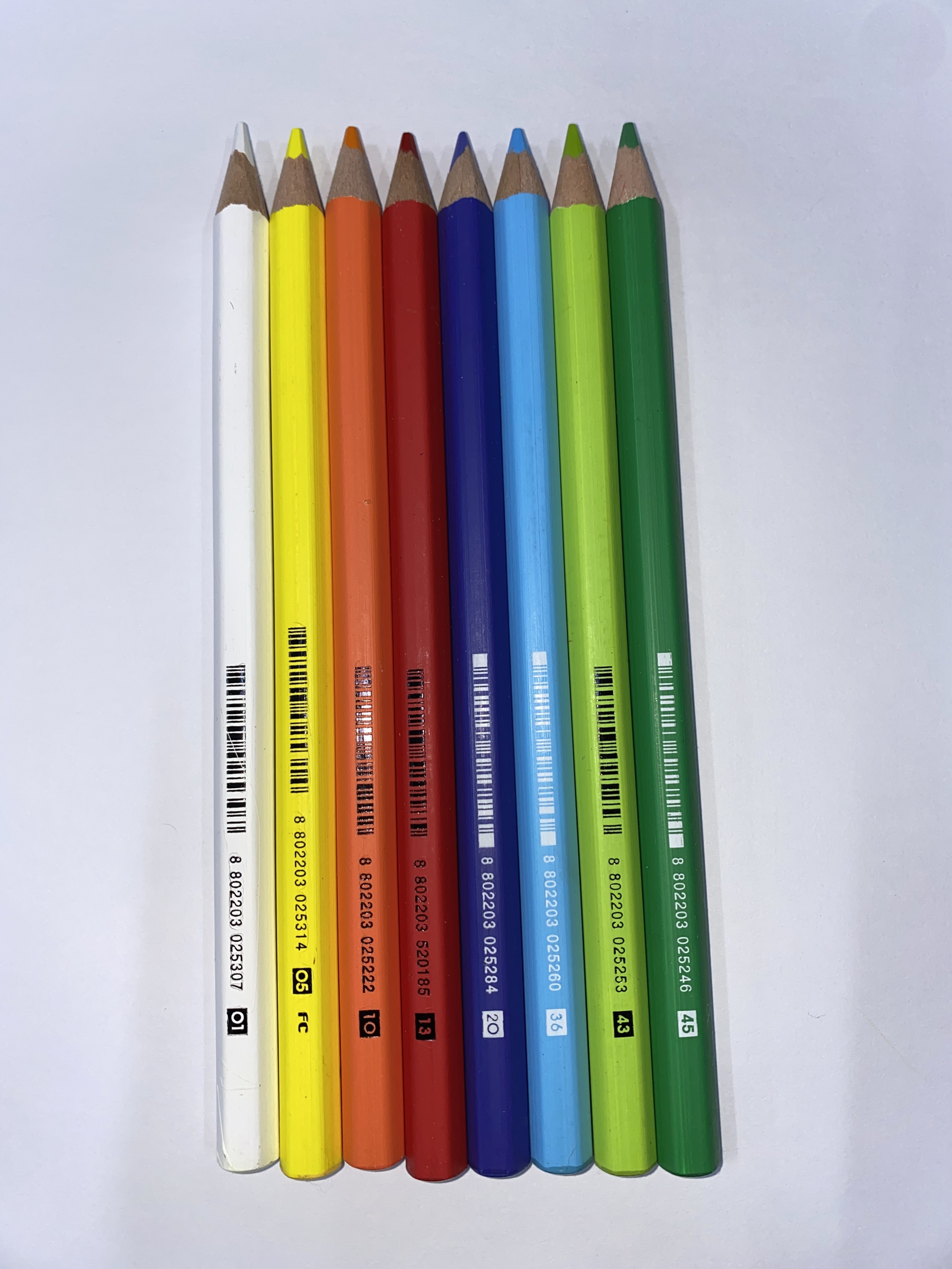 ������ (ȫ�繫 �Ƶ���)