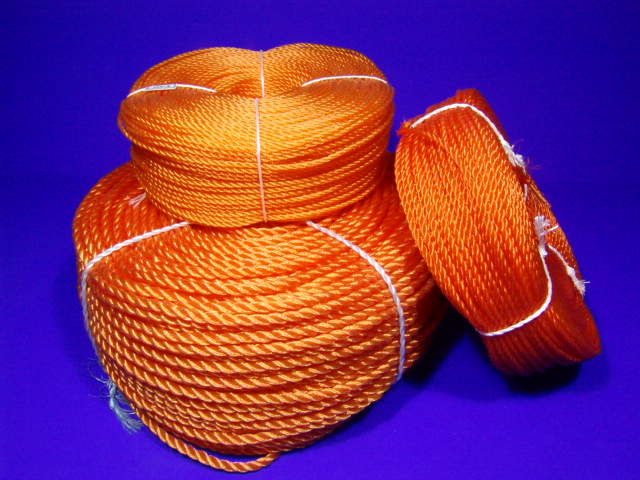 ������(��Ȳ��)