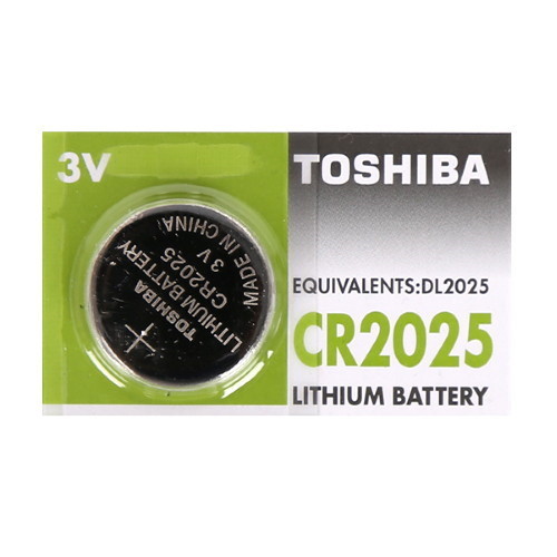 ����������(2025)