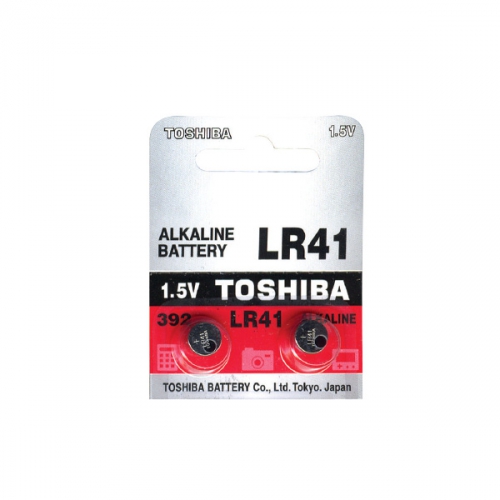 ����������(41)