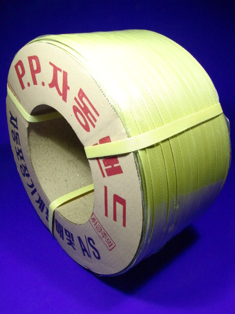 �ڵ������